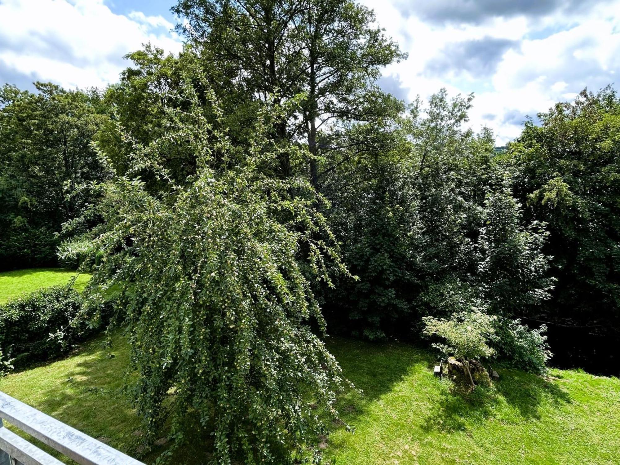 אולסברג Ferienwohnung Sauerland An Der Ruhr מראה חיצוני תמונה
